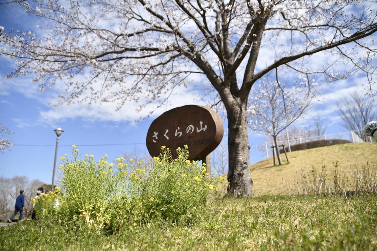 Karin Doo Hotel Narita Zewnętrze zdjęcie